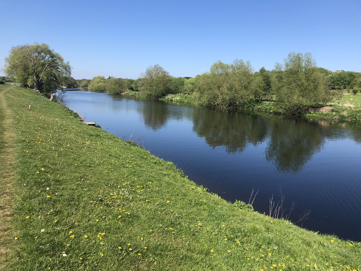 A beautiful day and today’s walk from Yarm to Egglescliffe via the meandering Tees, down Lovers Lane, unfortunately without a lover !! proud to come from Teesside 👏👏👏