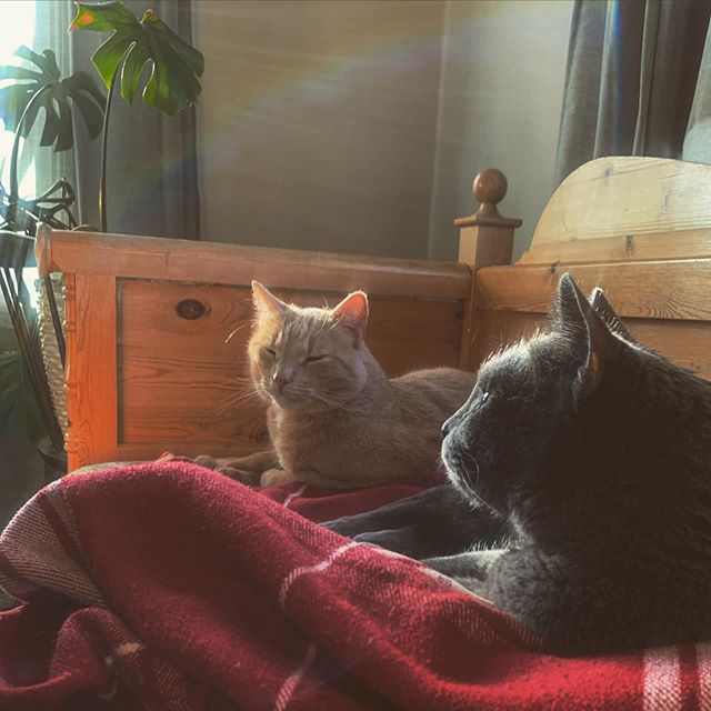 ericajupp's tweet photo. Bröderna gos

📸 https://t.co/iPS3DijVzS via https://t.co/pNwnuvYHia https://t.co/xSxu1URtPZ