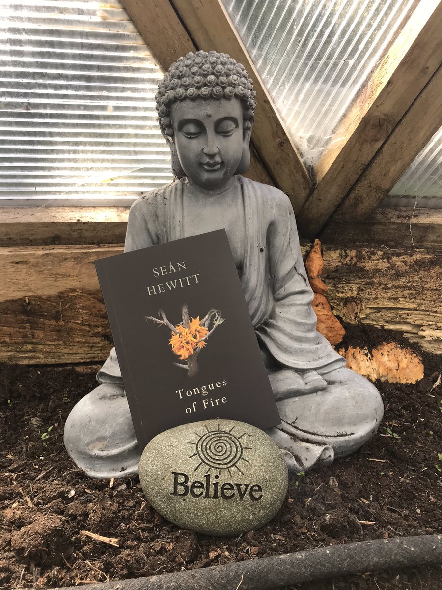 CauveryMadhavan's tweet image. It's arrived Sean! And I took it out to the greenhouse where I read Leaf and loved it.@seanehewitt  #TonguesOfFire