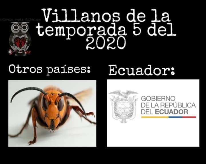 JordanA55643242's tweet photo. #IBenCrisis
#NoTeMetasConElBI
#HuelgaEducativaEc https://t.co/T3s9K5Q6ng