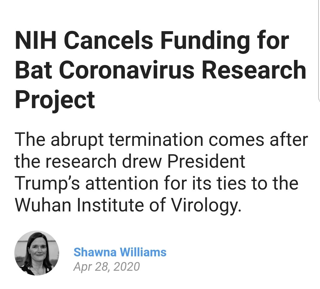 17th April amid  #US  #Intelligence  #Trump  #NIH set about terminating the  #Daszak  #EcoHealth  #Grant on ' #Bat  #Coronavirus Research Project'.