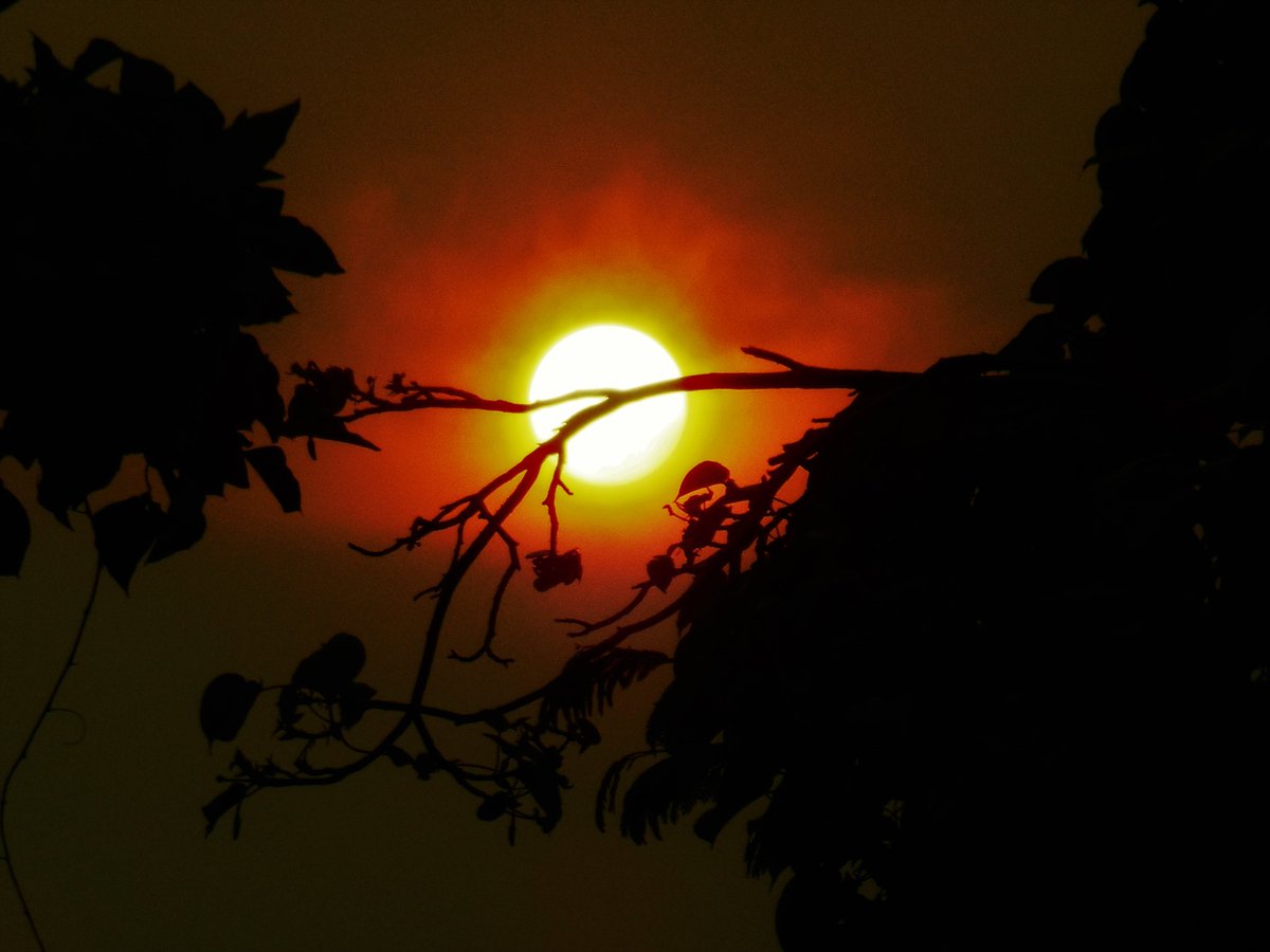 AntonuccioSanoP's tweet photo. Fotografía de Pedro Antonuccio Sanó. Atardecer en #Caracas” #Venezuela 2020 “Es el tiempo de Dios que aflora un día, que cae, nada más, madura, ocurre, para tornar mañana por sorpresa”. Poesía #joségorostiza #atardeceres #atardecer🌅 #tramonto #postadelsol #sunset #tramontorosso https://t.co/HHur7QJ65S