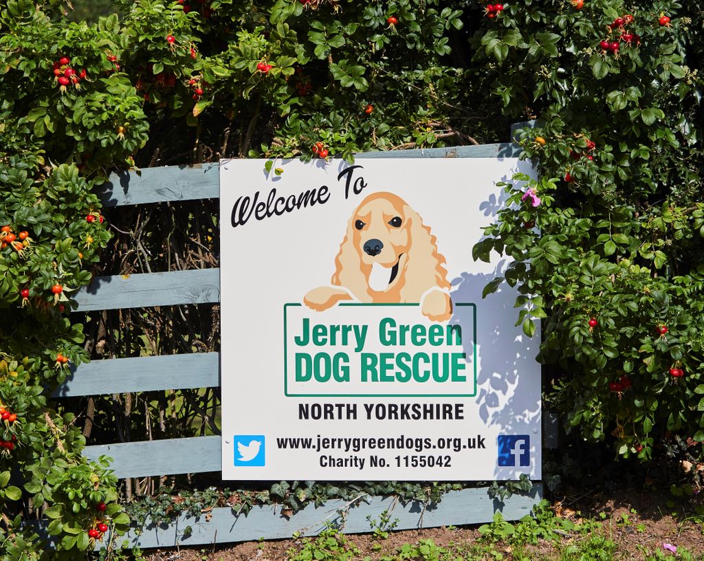 jerry green rescue centre