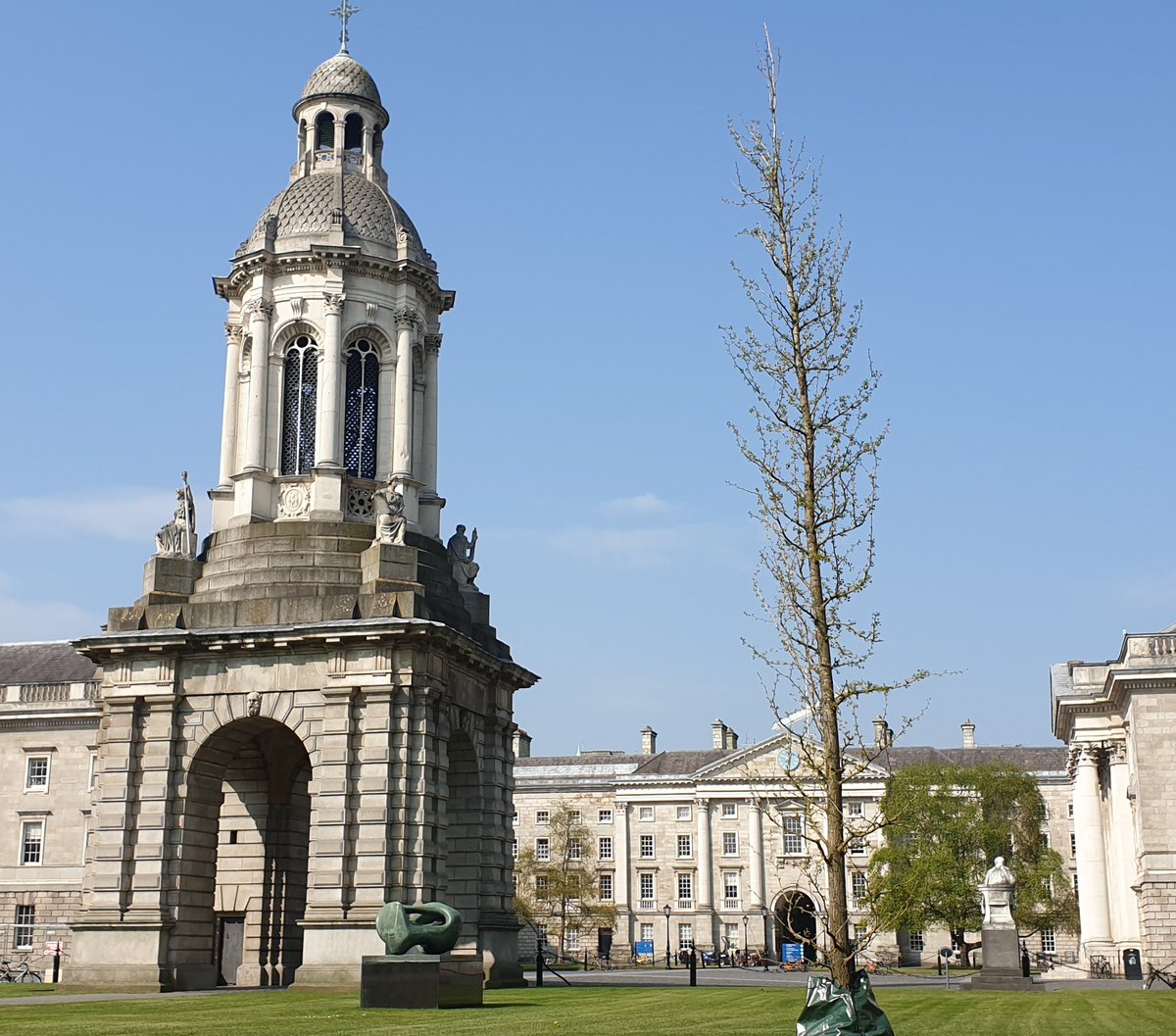 tcddublin's tweet photo. @aquigley @gavinHCI @BCowanHCI @anja_thieme Well spotted! The new trees are coming along nicely but it will take a while longer for them to fill out like their beautiful predecessors. #TrinityTrees 🌳🌳🌳 https://t.co/1LOkKFu4ft