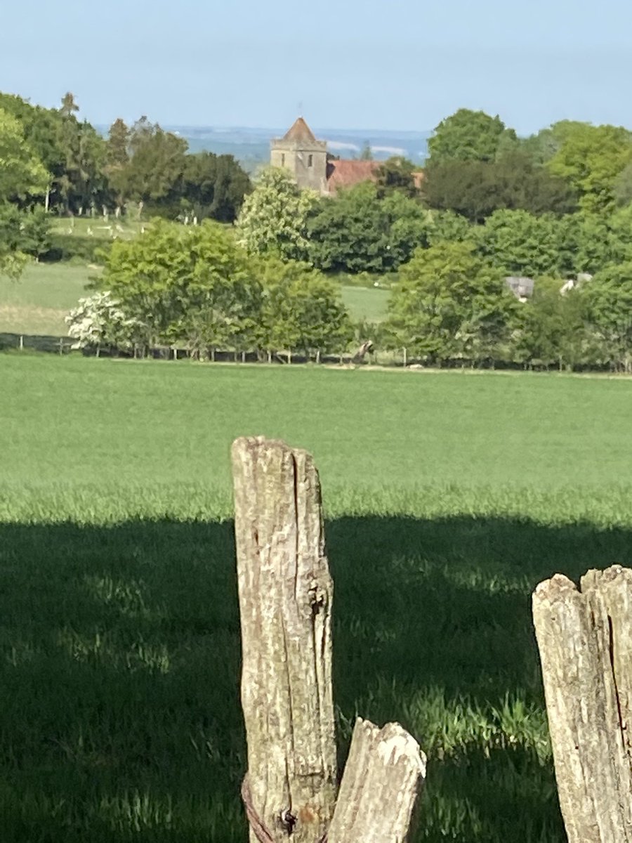 HughCapel's tweet photo. A glorious picture of an English village in the springtime. BTW 2800 of the houses TWBC wants to build will be to the left of the church down the hill behind the trees...oh and there will probably be a road on the other side of the church too!#savecapel #lovewhereyoulive https://t.co/MxbcMeWvUe