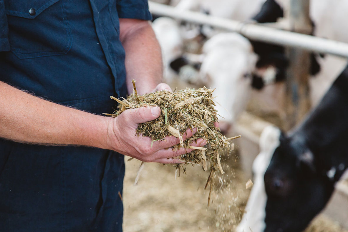 VitalusDairy's tweet photo. We only use Canadian milk to make our specialized milk protein ingredients. Canadian milk standards are among the highest in the world - find out why: https://t.co/Lx3yuWz30G
#dairy
#cdndairy
#BCdairy
#Canadianquality
#improvinglives
@dfc_plc
@BCMilk https://t.co/YCK5L3I8Sv