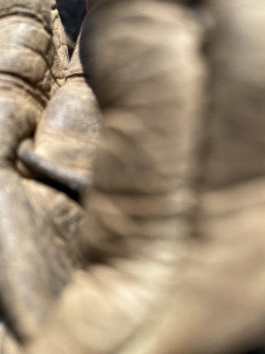 Ha.. tried to take a picture earlier and all I got was this!! Best/funniest guess wins some stuff. And a correct guess wins the grand Prize of.. um something GRAND! ⁦<a href="/AssistingChip/">Assisting Chip</a>⁩ I might need some help here if this accidentally goes viral. #HowManyEqualsViral?? 🧐