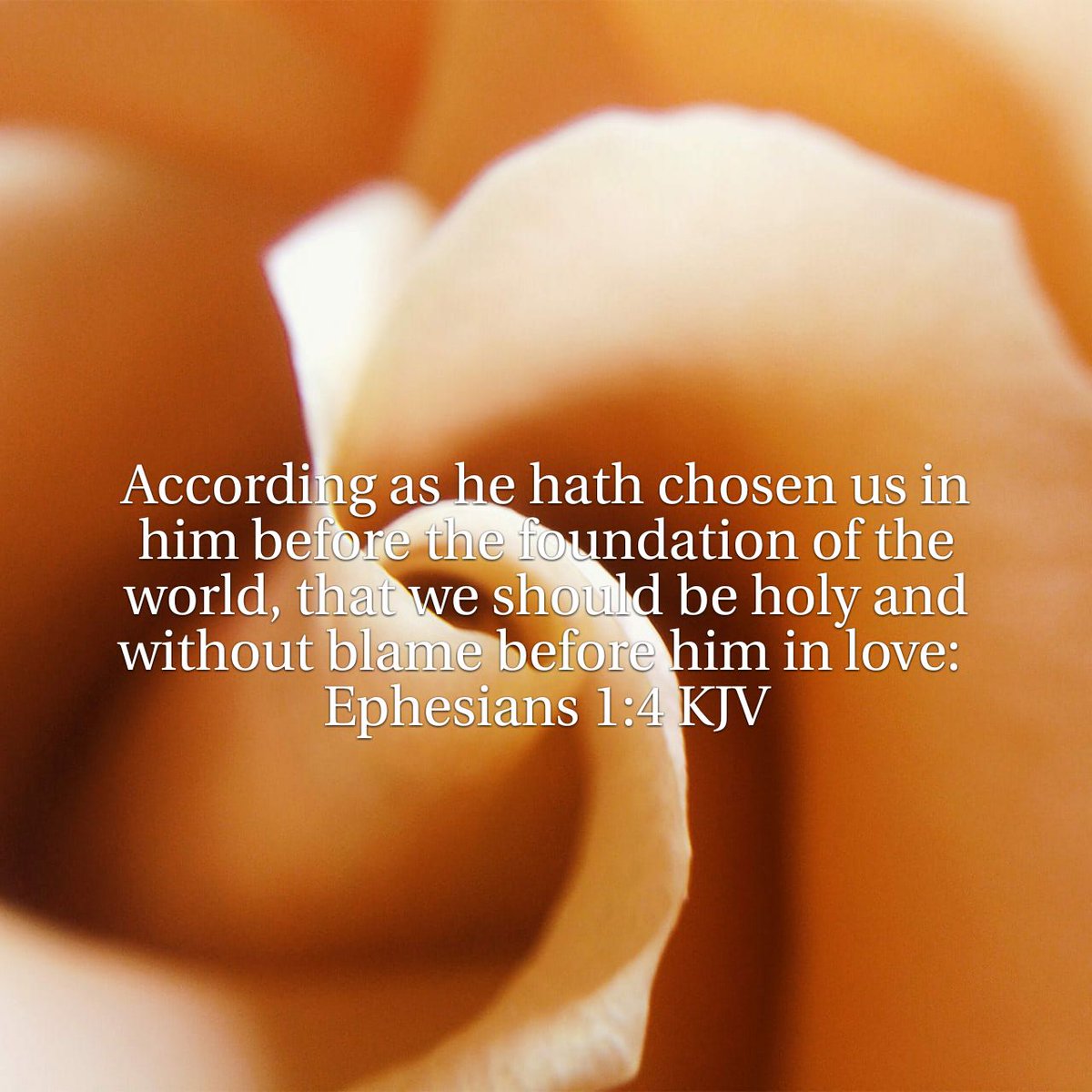 WordIntl's tweet image. (Jesus Chose us to be in him!)
According as he hath chosen us in him before the foundation of the world, that we should be holy and …
bible.com/bible/1/eph.1.…