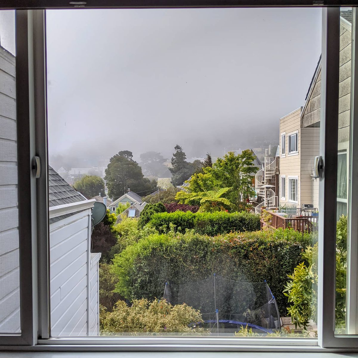 onlyinsf's tweet photo. Say hello to San Francisco's biggest icon. No it's not the Golden Gate Bridge, it's @karlthefog! You don't want to be caught without a sweater when he comes around. Seriously, he's best viewed from the warmth of your home, looking out at #SFThroughMyWindow. https://t.co/7JdZ49GZIe