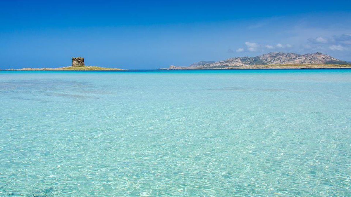 Stintino Twitter Search