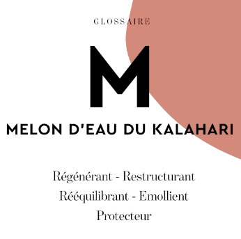 Mawenabeauty's tweet photo. // GLOSSAIRE MAWENA // 🤓📚⁣⁠

🇫🇷Parler #beauté c’est bien, mais la comprendre c’est encore mieux ! Avec nos #glossaires Mawena, il n’y a même plus à chercher, on vous sert tout sur un plateau. 🔎
Zoom sur le melon d'eau de Kalahari

#Mawena  #FallinginGreen #CleanBeauty https://t.co/JuYineYRRE