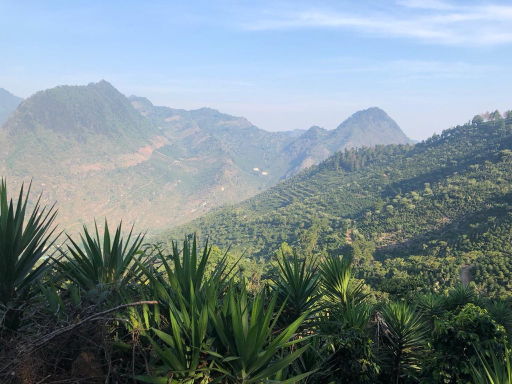 آرتوروا وعائلته يعيشون العزلة في منزلهم بأعالي #جبال #غواتيمالا حيث يستثمر وقته مع العائلة في غرس اشجار #قهوة ذات سلالات نادرة مثل سلالة Purpuracea وسلالة Green Tip Geisha