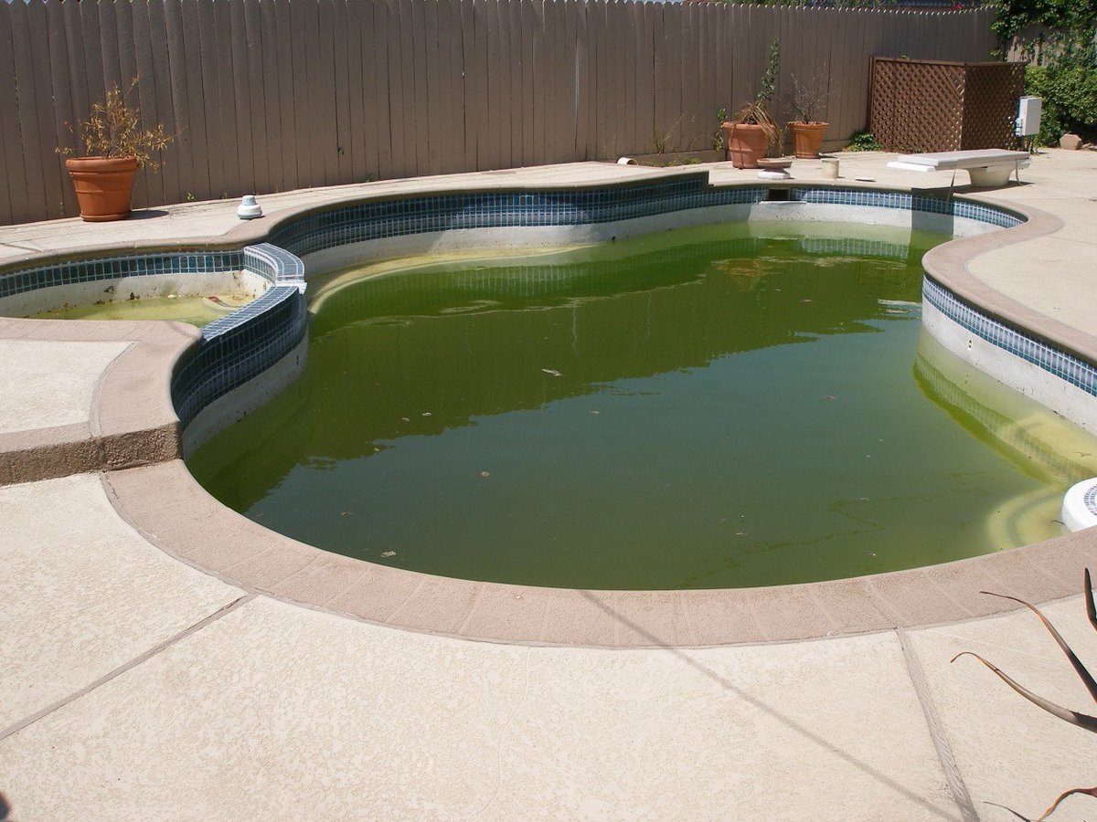 piscinas com azulejo verde 😍😍😍