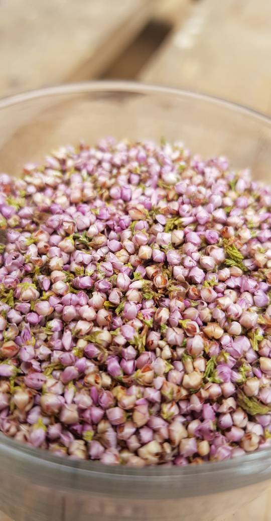 BlacksBrewery's tweet photo. Irish Heather Flowers add a delicate floral note to our bold and earthy Blacks Irish Gin 🤤 #TheAdventureBegins #BlacksIrishGin #blacksofkinsale #blacksbreweryanddistillery #blacksdistillerykinsale #botanicals #craftdistillery #craftspirits #irishgin #gin #drinkresponsibly https://t.co/xy0UMaoiVR