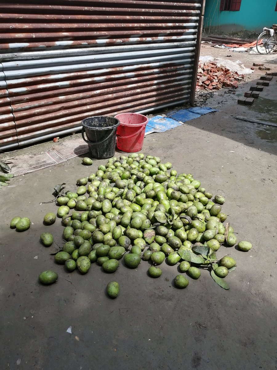 Khaled23722346's tweet photo. The fruits of my country are fun even if they are raw,,
I love this😍 https://t.co/0LozepHzuF