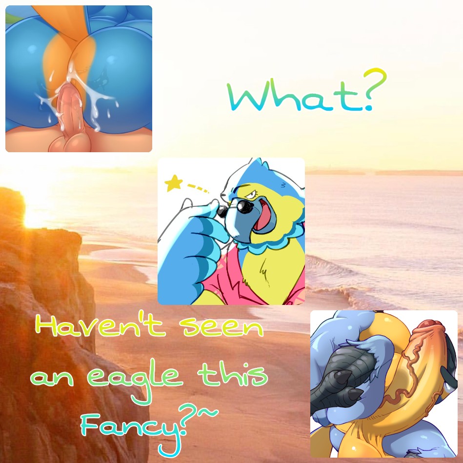 “ʙᴇɪɴɢ ᴀ ꜱᴛᴀʀ ɪꜱɴ'ᴛ ᴀɴ ᴇᴀꜱʏ ᴊᴏʙ ʏ'ᴋɴᴏᴡ?~”
●❯────────────────❮●
      #ACRP
      ꜱᴍᴜɢ ᴄᴏᴄᴋʏ ᴇᴀɢʟᴇ
      ᴅᴇᴛᴀɪʟᴇᴅ ᴀɴᴅ ʟɪᴛᴇʀᴀᴛᴇ
      ꜰᴜʟʟʏ ɢᴀʏ
      ꜱʜɪᴘ ᴡ/ᴄʜᴇᴍ
      Switch. 
      ᴍᴏʀᴇ ɪɴғᴏ ʙᴇʟᴏw: