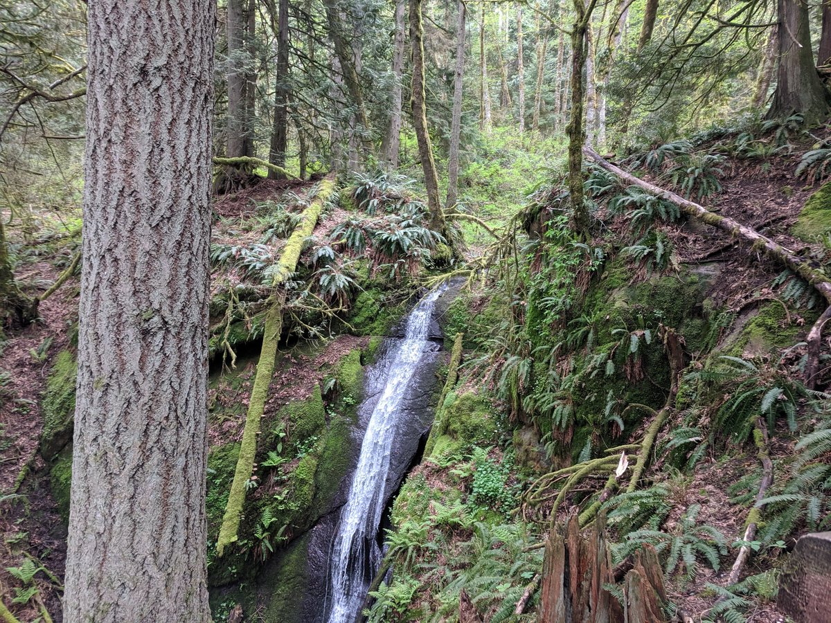 TrentHackler's tweet photo. Waterfall https://t.co/o56vbeVafm