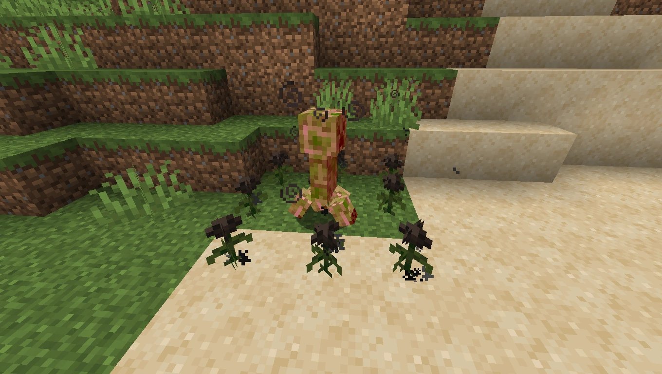Kingbdogz So In The Latest Snapshot We Made It So Mobs Can No Longer Spawn On Wither Roses This Has Been An Ongoing Conversation Internally And With The Community But Kingbdogz So In The Latest Snapshot We Made It So Mobs Can No Longer Spawn On Wither Roses This Has Been An Ongoing Conversation Internally And With The Community But