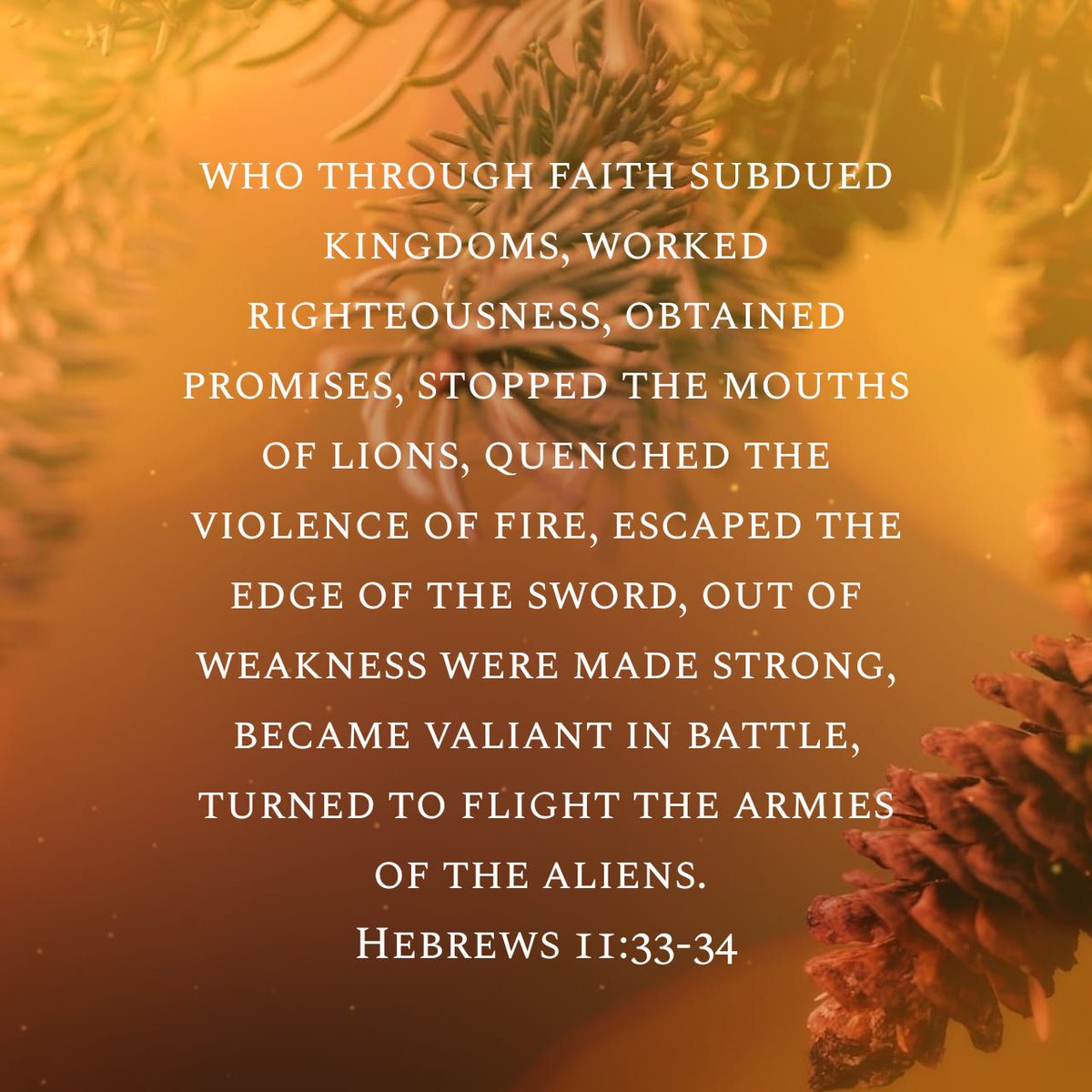togabj's tweet photo. who through faith subdued kingdoms, worked righteousness, obtained promises, stopped the mout…
Heb.11.33-34.NKJV
#DailyWalkWithGod #TOGOnline #TOGService #WalkInFaith #WashYourHands #Sanitizer #AviodCrowd #UseAFaceMask #Covid19 #CovidNews #MessageOfHope #HolySpirit #Convenant https://t.co/qdME8JEwx8