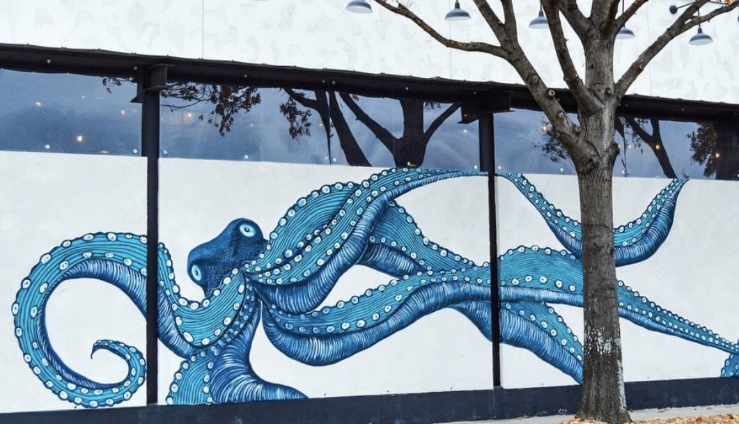 Round Rock is now reopen for #curbside #ToGo serving you daily from 𝟯-𝟴𝗽𝗺 🍽 

View our #TogoMenu online at salttraderscc.com &amp; call us at 512-351-9724 when you’re ready to place your order. We can’t wait to serve ya again 🦑

#backtobusiness #backtowork #roundrock