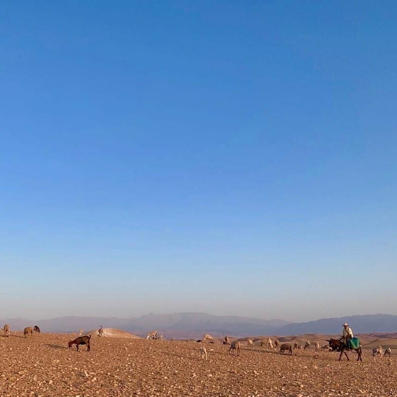 I was nominated to join the 10-day favourite travel image challenge. Each day I will select an image from my travels that has had an impact on me, starting with this one.
On the outskirts of Morocco's Marrakech and taken from the car as we headed into th… instagr.am/p/B_2tA_9ptWQ/