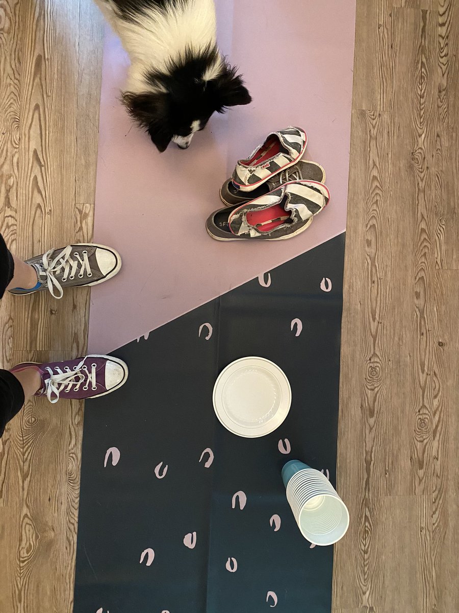 MsGroover2's tweet photo. Wearing my Wacky shoes and socks while trying to get supplies ready for Virtual Field Day on Friday!! #gatorsdeserveit20 #GatorDone #LCPSFieldDay #NationalFieldDay #FieldDaySpiritWeek @GuilfordEle https://t.co/pvaPN11RhP