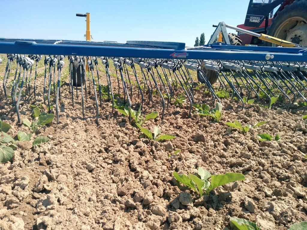 ITB - 60 tweet media