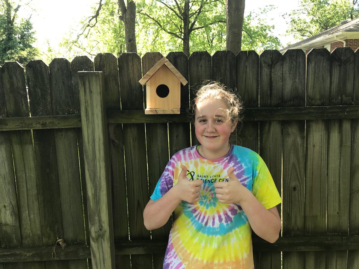 STEMwithmrsG's tweet photo. STEM students put problem solving to the test by making bird houses during distance learning. There are going to be some happy birds in Clinton! @CMSCardinals @ClintonMoCards https://t.co/qbRLvaD4Ln