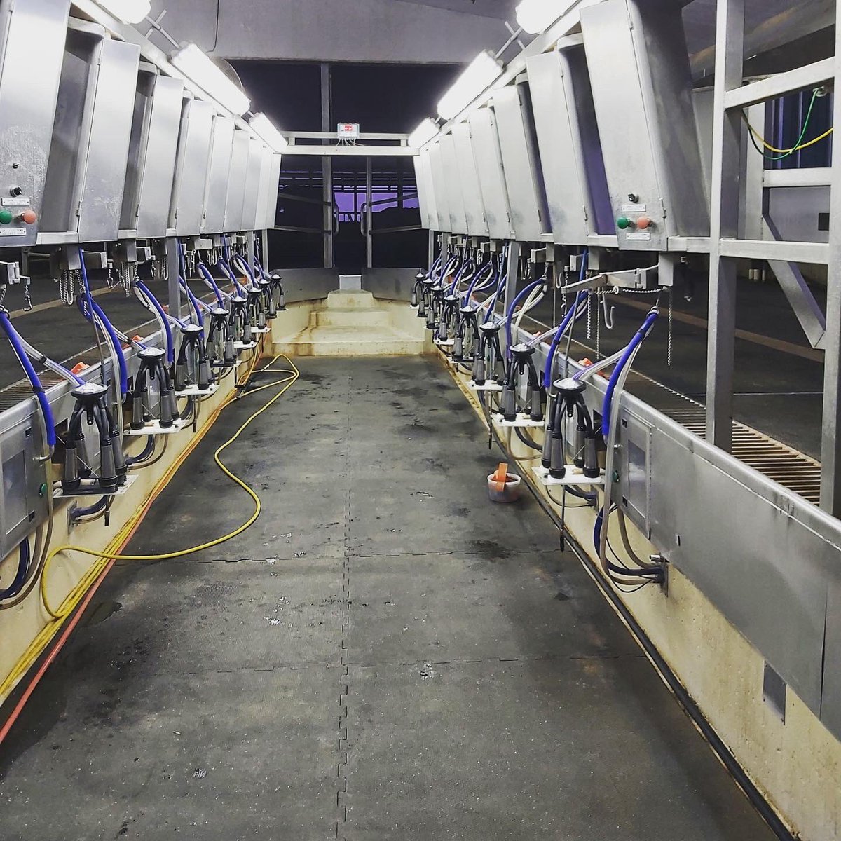 NorwellDairy's tweet photo. Another farm set up with the Turn&amp;Milk technology of DeLaval’s Evanza Cluster and we are installing more all the time!  #dairydonewell #dairyfarming #dairyfarm #dairycows #farmtwitter #agtwitter https://t.co/8X0DY2YzuY