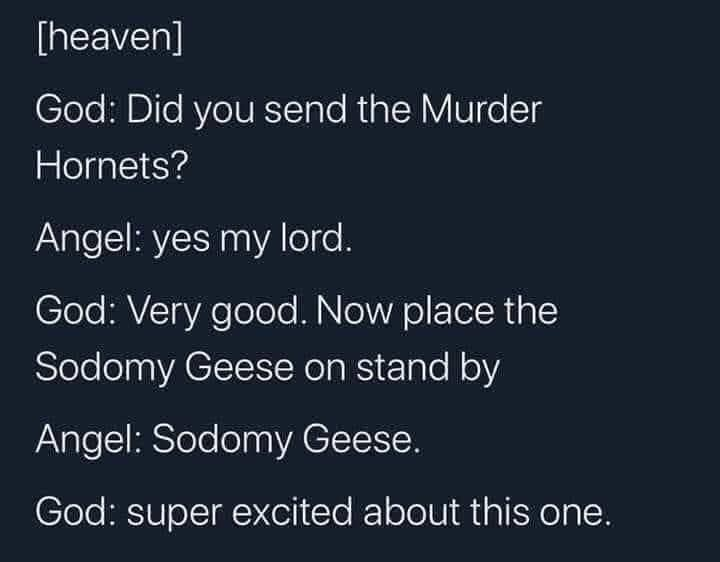 thosetwoqueens's tweet photo. Did you think we'd see something like Murder Hornets and not talk about it? Join us Sunday to hear our take on these angry little bee murdering dicks. #podcast #MurderHornet #trash #podcastlife 
https://t.co/ATqmbFiut8
https://t.co/pqOu5qX49i https://t.co/QXIFVcNeKg
