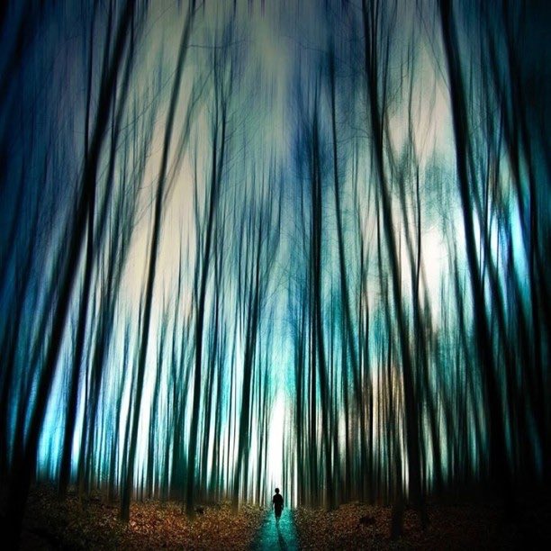 umut091315's tweet photo. By #JoshAdamski

#Nature #Tree #Green #Blue #Natural_environment #Forest #Natural_landscape #Light #Woodland #Turquoise #Woody_plant #Sky #Atmosphere #Plant #Photography #Darkness #Electric_blue #Sunlight #Stock_photography #Tints_and_shades #Amazing https://t.co/XDyNJqLF2W
