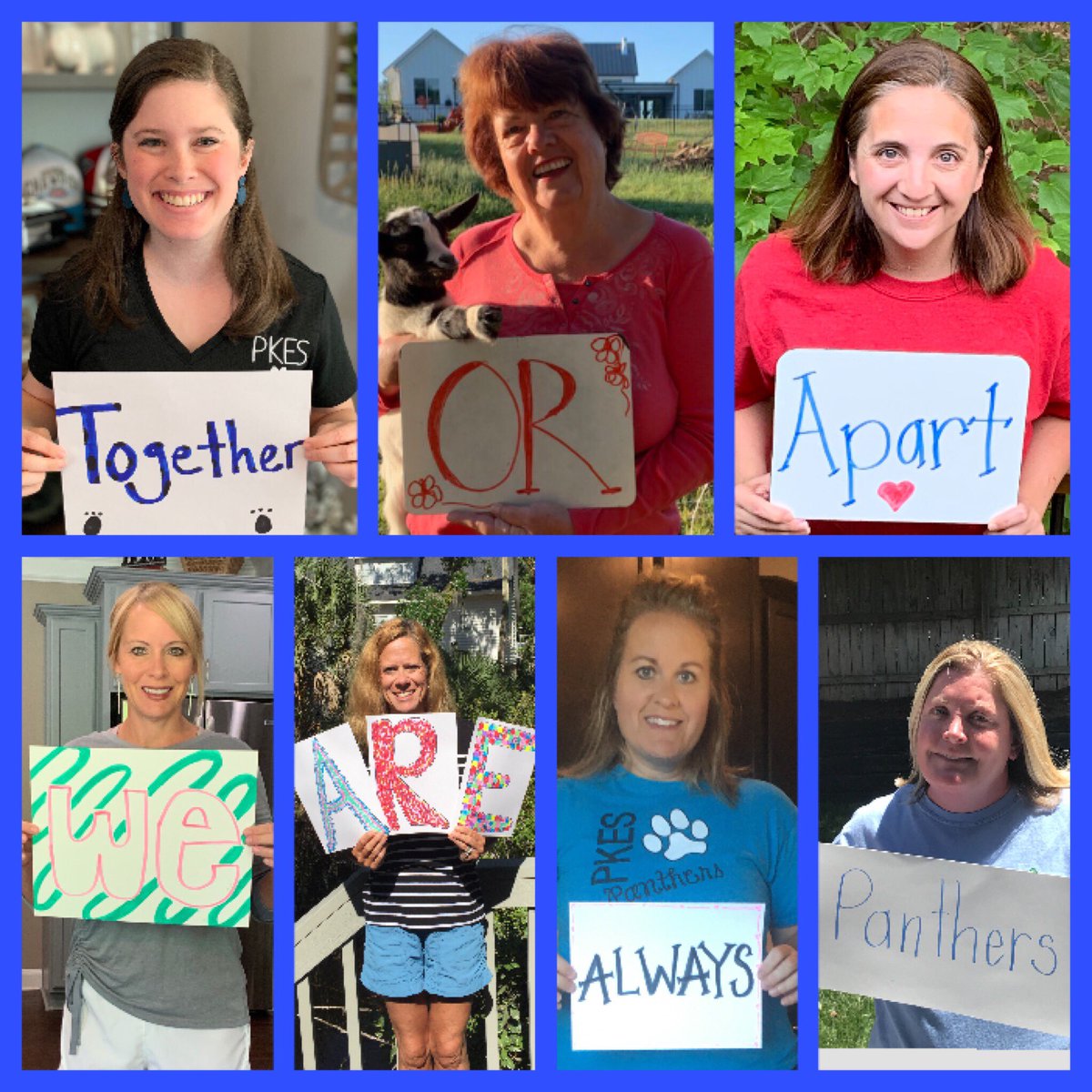 Lisa Smith tweet media