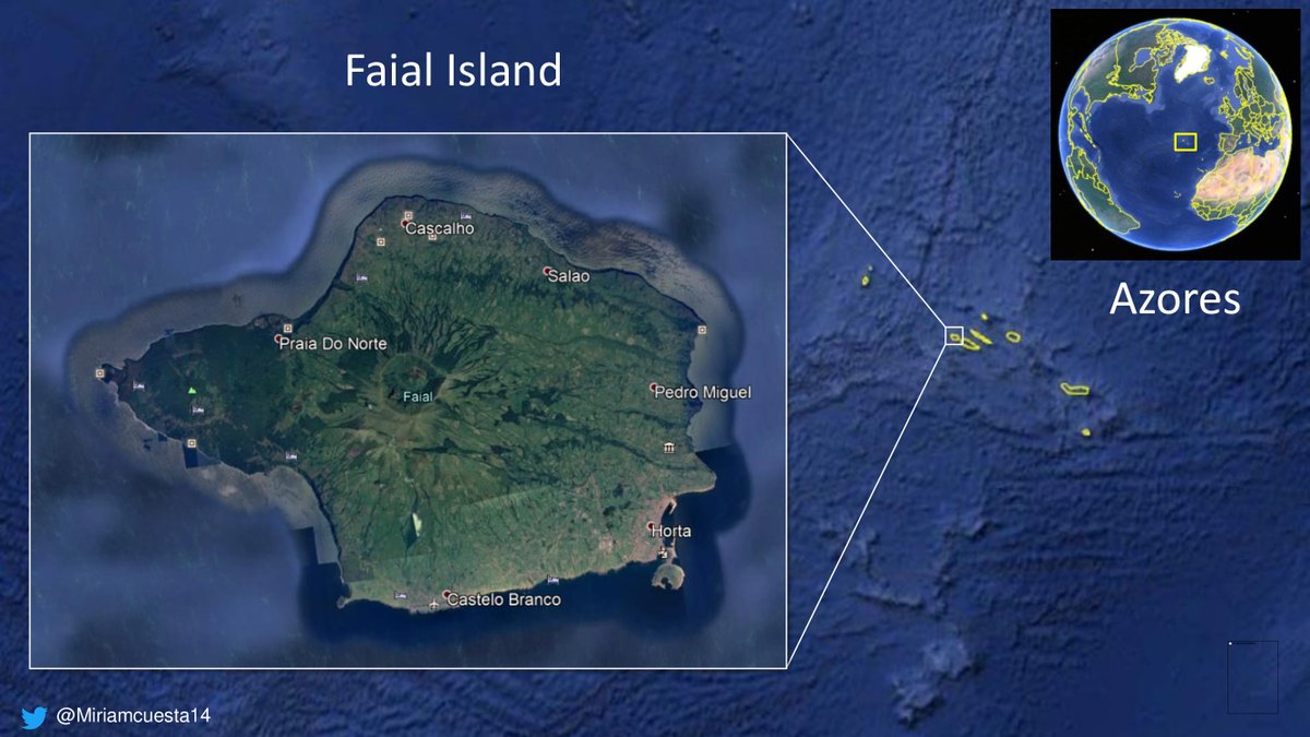 Miriamcg14's tweet photo. 2 #WSTC6 #LightSesh We studied #BodyCondition (BC) in Cory’s Shearwater fledglings in relation to #RescueDate & #OceanicConditions using data collected on #Faial #island #Azores 🇵🇹 during the #RescueCampaigns #SOSCagarro & #SatelliteImagery data🛰(2003 - 2018) https://t.co/Df6IOyP3Tl