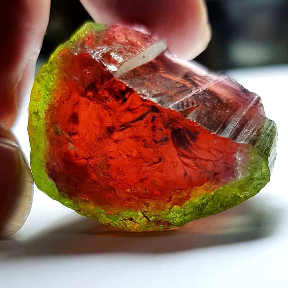 GeologyTime's tweet photo. Super gemmy watemelon Tourmaline piece from Afghanistan.

Photo: Shaheen Gems &amp; Jewellers

#minerals #crystals https://t.co/lWQwfcLWaQ