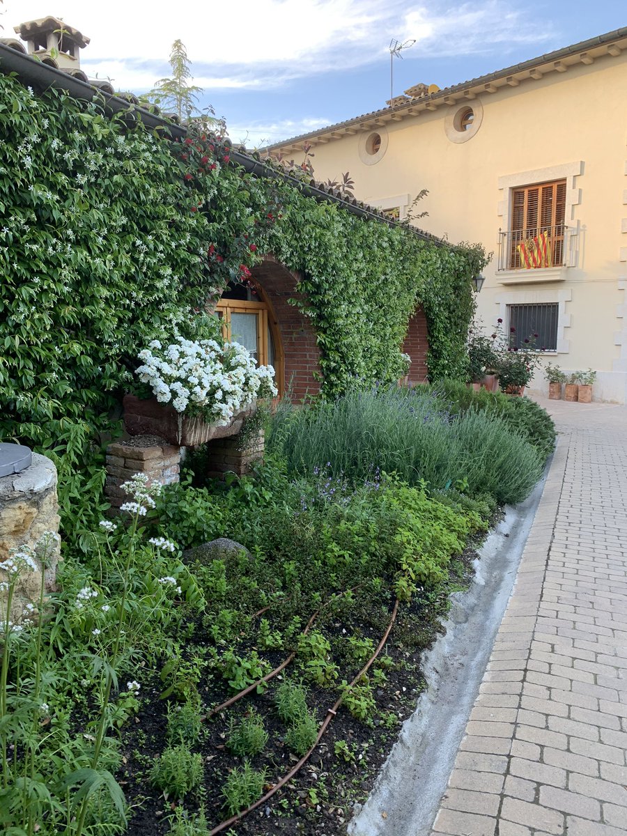 cancampanya's tweet photo. Hi ha coses que no paren,nosaltres seguim l’exemple #bonetijust #restaurantskm0catalunya #castellbisbal #viuelvalles #tastantcatalunya https://t.co/Oeh9yEpfzq
