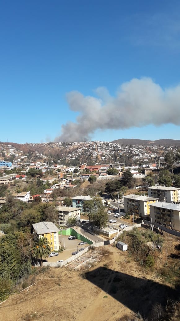 PompeFranceVPO's tweet photo. [INCENDIO]
Nuestra unidad 51 se encuentra trabajando en el sector de Las Torres, mientras que la unidad 52 se encuentra a la espera de ser despachada https://t.co/eKCjzNwj6q