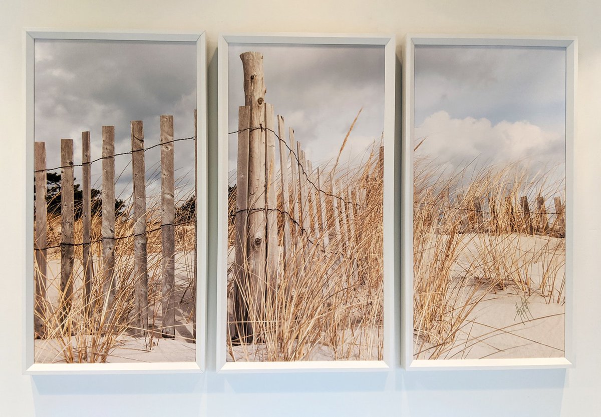 HammsArtStudio's tweet photo. Viking Village Art/Craft Show postponed to June 21, 🤞. visit our webstore for great sales! #porchpickup #freelocalporchdelivery #weship #savethedate #vikingshows #vikingvillage #lbi #longbeachisland #barnegatlight #harveycedars #beachhaven  #jerseyshorephotographer https://t.co/OBoRgKiOR0