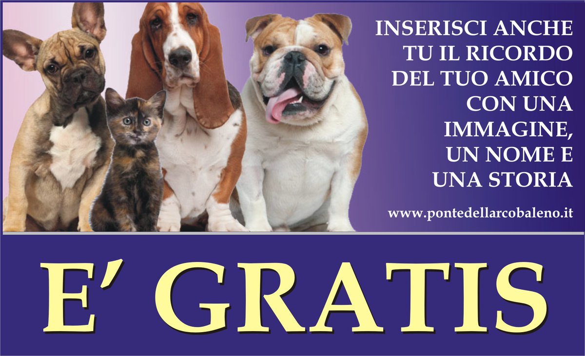 PonteArcobalen's tweet photo. https://t.co/yz9yO61R5N registratevi e inserite le storie dei vostri "amici fedeli" che non ci sono più #petmemorial @PonteArcobalen #memorial #cani #gatti https://t.co/RW5zIG7G3I