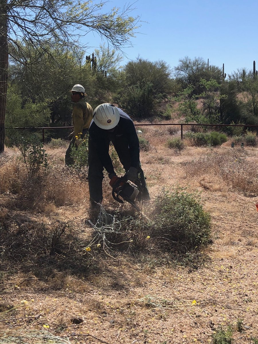 azstateforestry's tweet photo. When they aren’t assigned to a fire they are working to protect our communities. #AZForestry’s #PhoenixCrew creating a 5-mi. fuel break on #PimaRoad #NorthScottsdale to safeguard the preserve & properties. Great collab w/@scottsdaleazgov & @ScottsdaleFire #AZFire https://t.co/cr3Mluaqj3