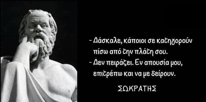 Alexandra Van den Bok☘️ tweet media