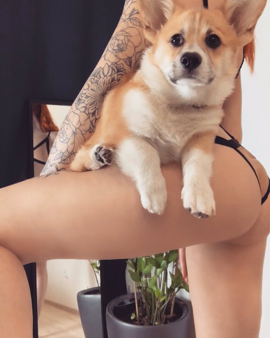 Do you have a little friend?)   👉👉👉 @EuroPStars @europornstars1 @HotAdultModels @AssReFocus @AssRefocused<a class="tags" target="_blank" title="On Twitter" href="/?out=eyJ0eXAiOiJKV1QiLCJhbGciOiJIUzUxMiJ9.eyJpYXQiOjE3MjMzMjE4MzAsImlzcyI6InR3cG9ybnN0YXJzLmNvbSIsIm5iZiI6MTcyMzMyMTgzMCwiZXhwIjoxNzU0ODU3ODMwLCJyZWRpcmVjdF91cmwiOiJodHRwczovL3R3aXR0ZXIuY29tL0V1cm9QU3RhcnMifQ.xkIDkQ_GBmwJJ0K0-m3zrU1mXE1ULNg55N1Ag3NMBY5h4a1QviN_QZ7Tkv4cC5si--8CzsAZYwBVqBCU3yLVEw">@EuroPStars</a><a href="/tag/mvsales"class="tags"><span>#mvsales</span></a>