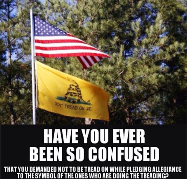 AnonOpNOrulers's tweet image. @ #ProtestLockdown