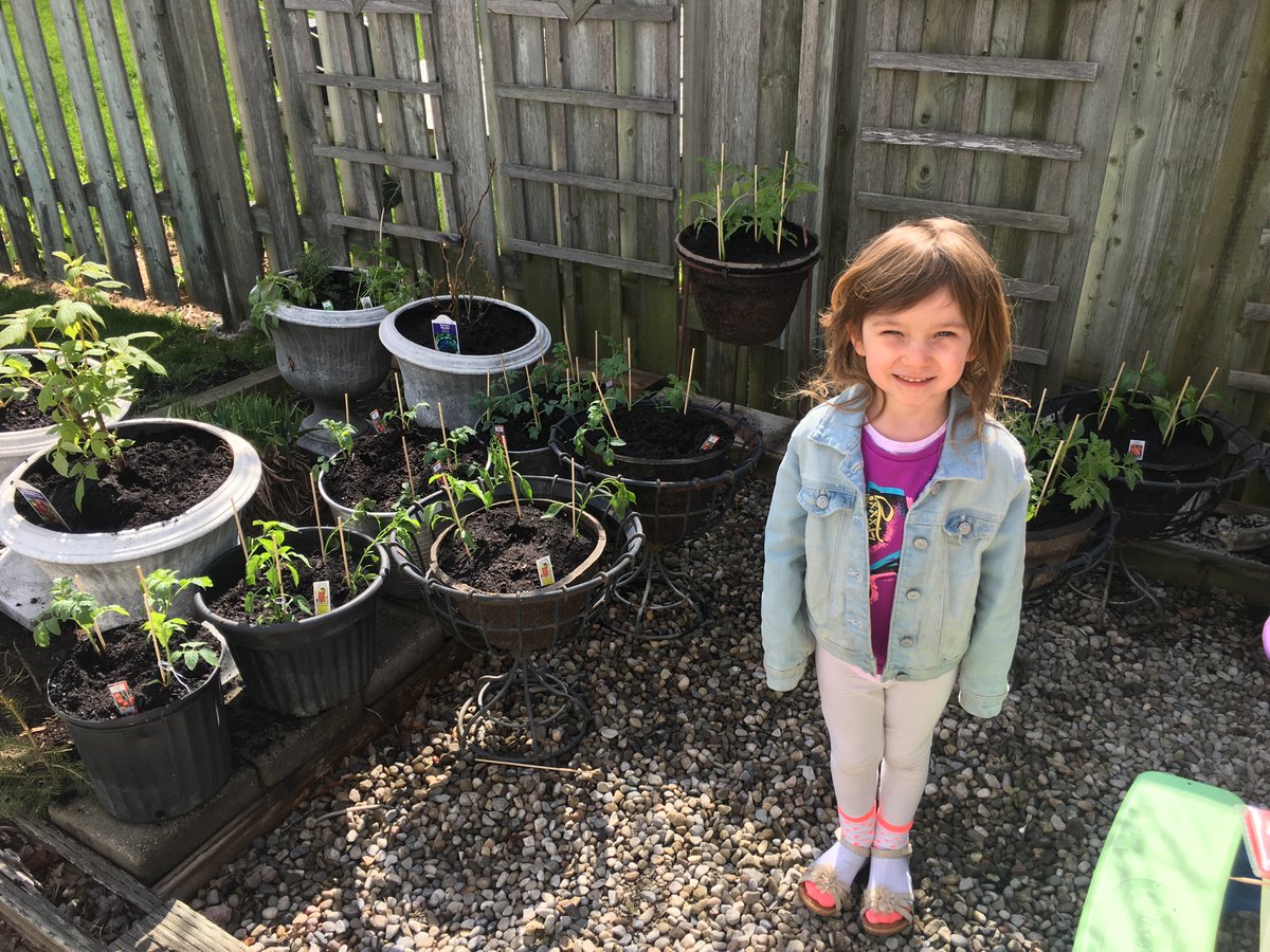 Kristen Gallant tweet media