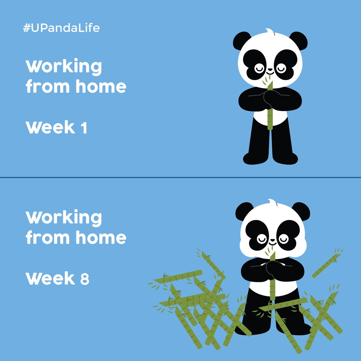 APu_Upanda's tweet photo. That's me after working from home for 8 weeks.
https://t.co/rmuiYfMdZZ
#UpandaLife #BeTogetherBeBetter #lockdown #lockdownmemes #lockdownlife #workfromhome #keepfit #foodie #lol https://t.co/rn6MOt3ooz