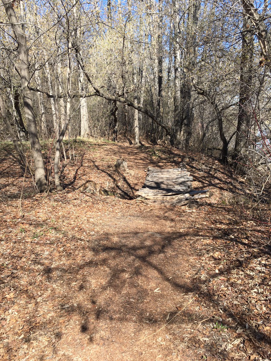DrewDrewpreston's tweet photo. Morning rip thru the local trails. Beautiful Morning #Saskatoon Me and #Fluid3FS went shredding #RiverBendExpress #PoopChuteRoute #ChiefMits #CorkScrew #BreakingBad #Ravine #Stove #HighRoller #RockGarden #ShuckNJive #DogLeg 🤘😎🚲🇨🇦☀️😎 #yxe #byxe #mtb #MountainBiking https://t.co/BF8zKFwDAB