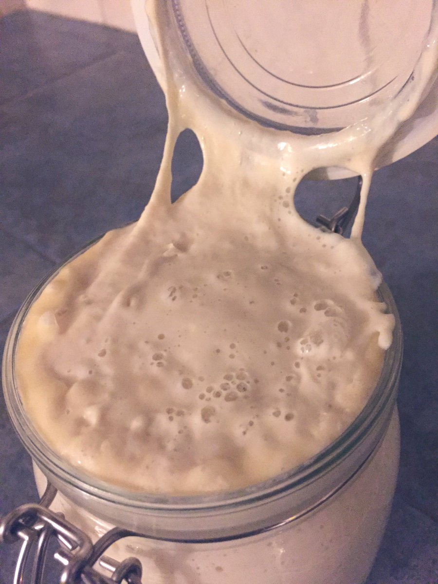 DustinBajer's tweet photo. Someone should organize a #yeg sourdough starter-swap and call it ”Startup Breadmonton.”
#yegfood #yegbread https://t.co/UMOVezKLQo
