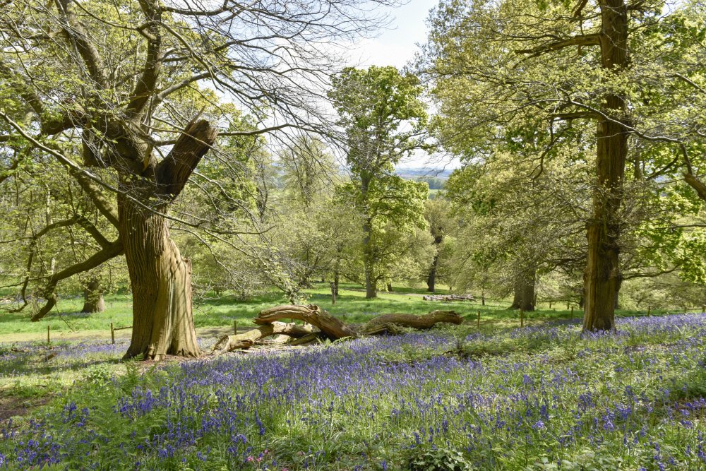 National Trust tweet media