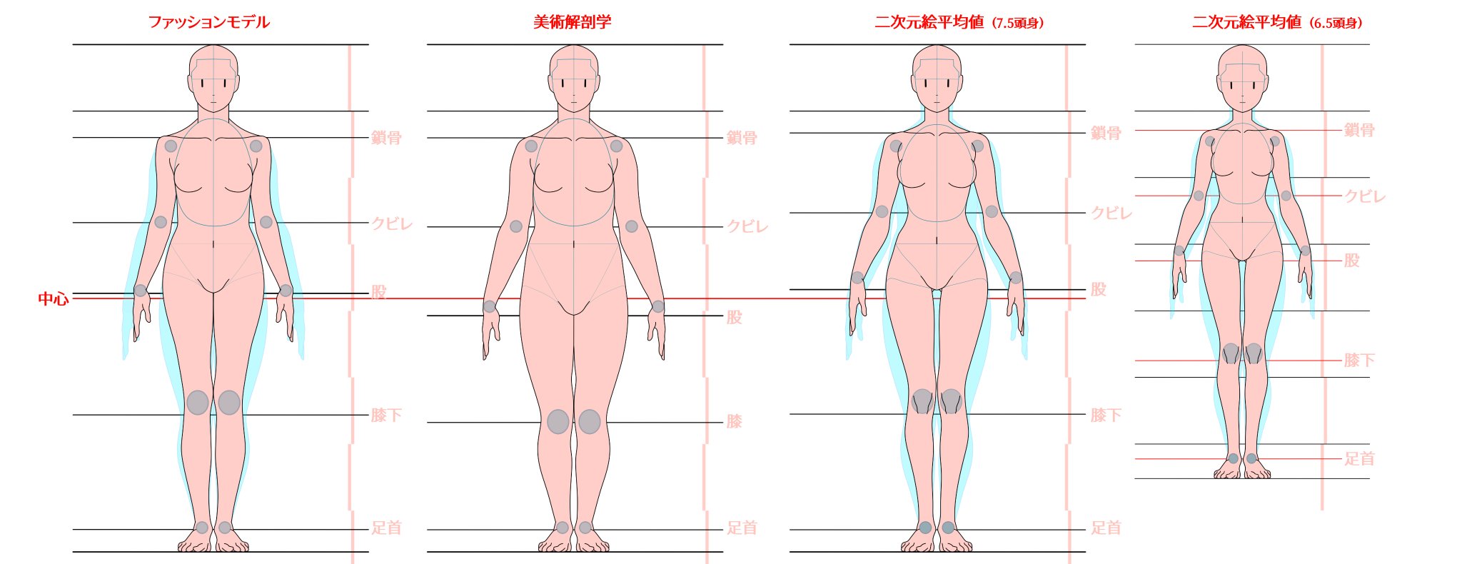 ダテナオト イラスト解体新書 ２７刷 好評発売中 美術解剖学のバランスからファッションモデルのバランスに修正 更にファッションモデルのバランスとアニメ絵十数点を参考に7 5頭身と6 5頭身の平均モデルを作成しました 面白いのは7 5頭身では股の