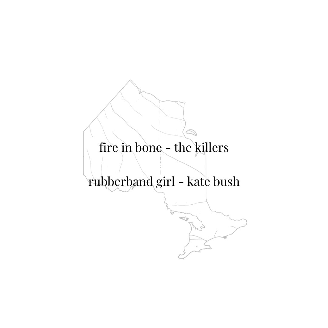 The Northern Appeal tweet media