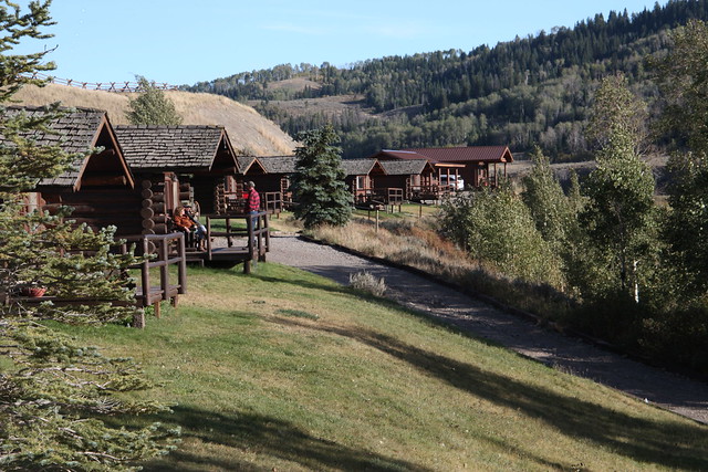 Goosewing Ranch tweet media